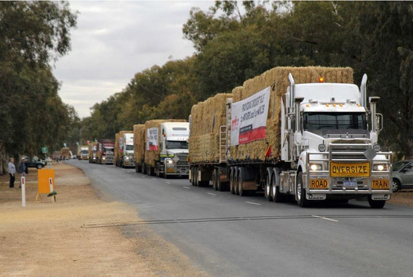 WA Convoy Delivers Much-Needed Hay to Drought-Stricken NSW Farmers