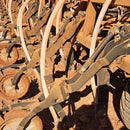 Eco White 32/38 - 30m/Roll