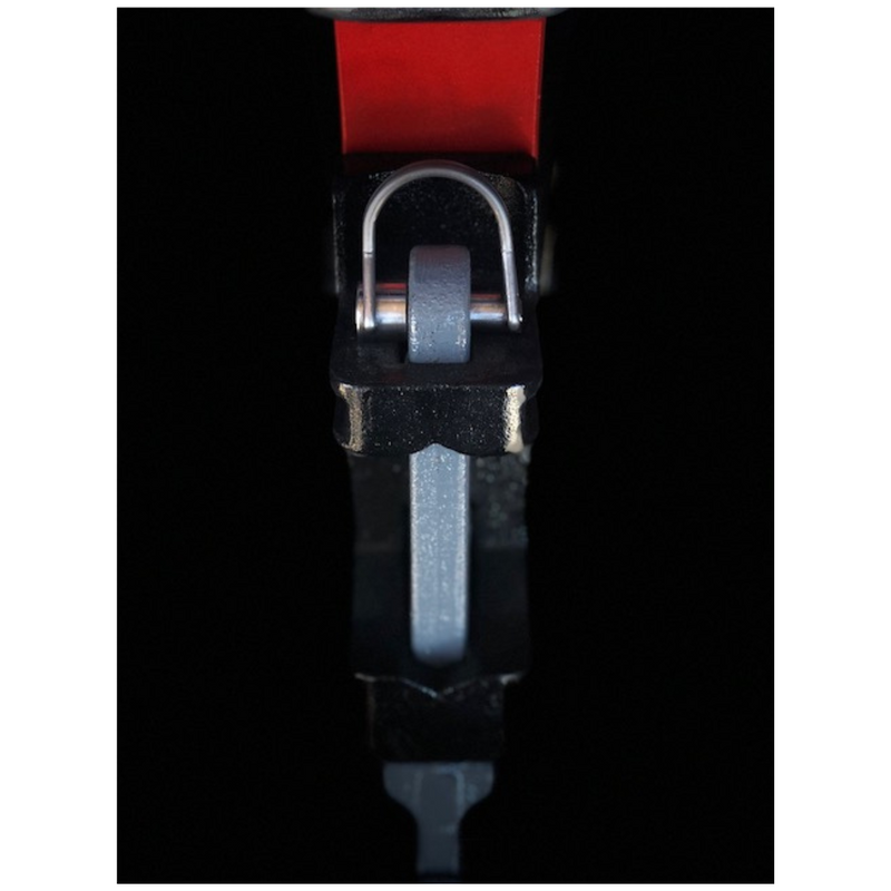 Leech Pin