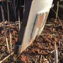 Conserva Point - SLL