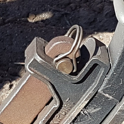Leech Pin